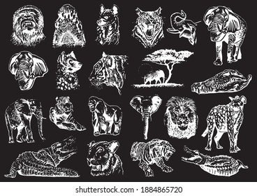 Graphical set of african animals isolated on black background,vector engraved illustration