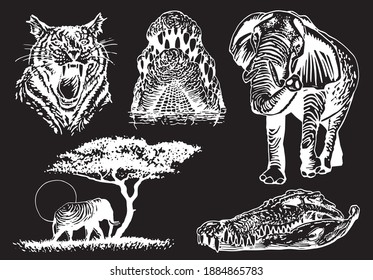 Conjunto gráfico de animales africanos aislados en fondo negro,ilustración vectorial
