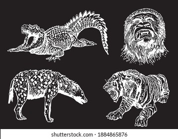 Conjunto gráfico de animales africanos aislados en fondo negro,ilustración vectorial