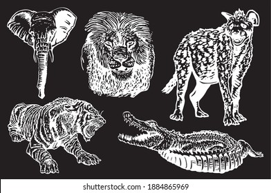 Graphical set of african animals isolated on black background,vector engraved illustration