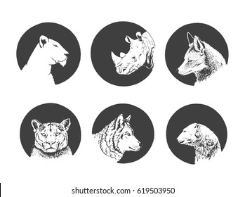 Graphical set of animals icons isolated on white background, logo