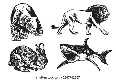 Graphical set of animals isolated on white background,vector illustration. Zoology