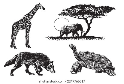 Graphical set of animals isolated on white background,vector illustration. Zoology
