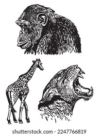 Graphical set of animals isolated on white background,vector illustration. Zoology
