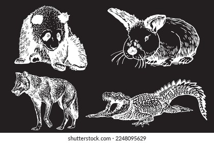 Graphical set of animals isolated on black background,vector engraved illustration. Zoology