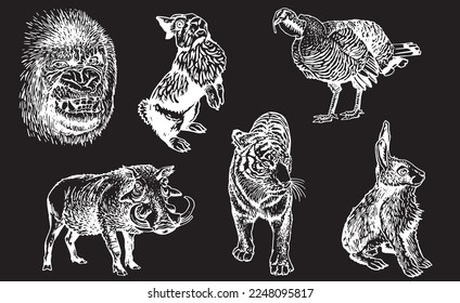 Graphical set of animals isolated on black background,vector engraved illustration. Zoology