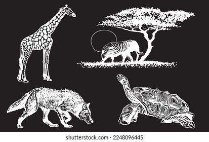 Graphical set of animals isolated on black background,vector engraved illustration. Zoology