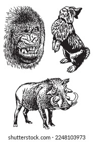 Graphical set of animals isolated on white background,vector illustration. Zoology