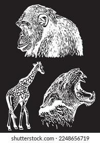 Graphical set of animals isolated on black background,vector engraved illustration. Zoology