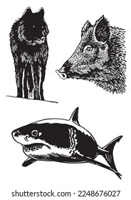Graphical set of animals isolated on white background,vector illustration. Zoology