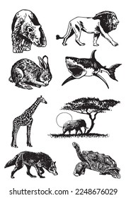 Graphical set of animals isolated on white background,vector illustration. Zoology