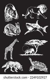 Graphical set of animals isolated on black background,vector engraved illustration. Zoology