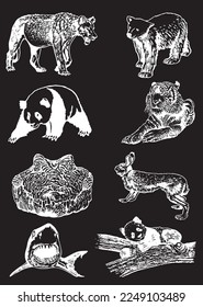Graphical set of animals isolated on black background,vector engraved illustration. Zoology