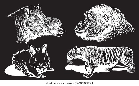 Graphical set of animals isolated on black background,vector engraved illustration. Zoology