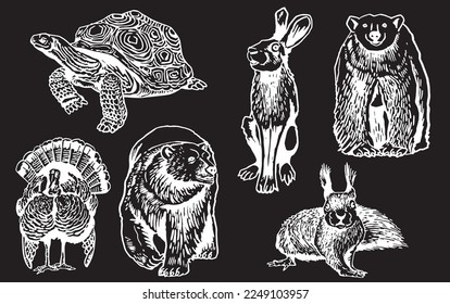 Graphical set of animals isolated on black background,vector engraved illustration. Zoology