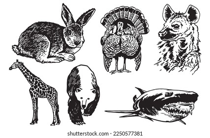 Graphical set of animals isolated on white background,vector illustration. Zoology. Elements for design