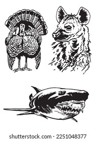 Graphical set of animals isolated on white background,vector illustration. Zoology. Elements for design