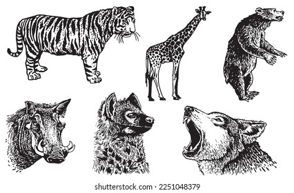 Graphical set of animals isolated on white background,vector illustration. Zoology. Elements for design