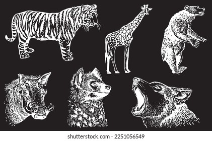 Graphical set of animals isolated on black background,vector engraved illustration. Zoology. Elements for design