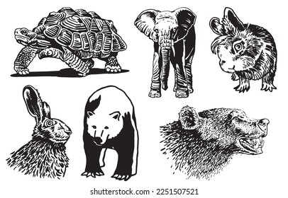 Graphical set of animals isolated on white background,vector illustration. Zoology. Elements for design