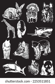 Graphical set of animals isolated on black background,vector engraved illustration. Zoology. Elements for design