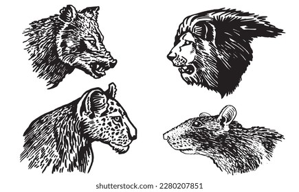 Graphical set of animals isolated on white, vector portraits of lion. wolf,rat