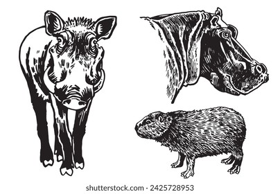 Graphical set of animals on white background, vector elements