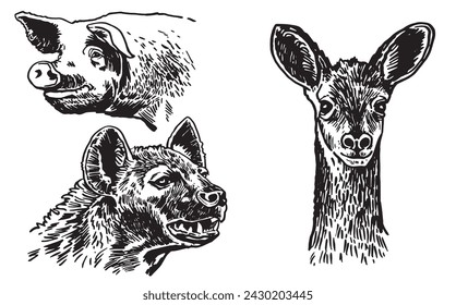 Graphical set of animals on white background, vector illustration