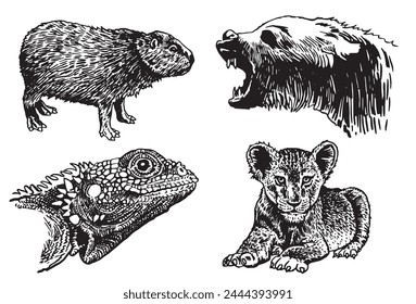 Graphical set of animals on white background, vector illustration