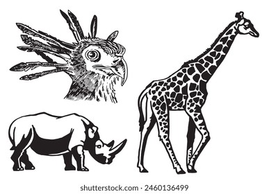Graphical set of animals on white background, vector illustration