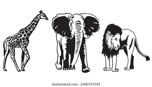 Graphical set of animals on white background, vector illustration