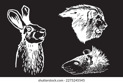 Graphical set of animals , portraits of lioness,bunny and rat isolated on black background 