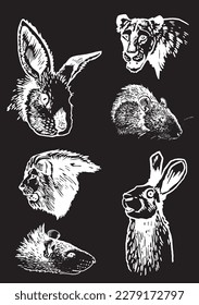 Graphical set of animals , portraits of lioness,bunny and rat isolated on black background