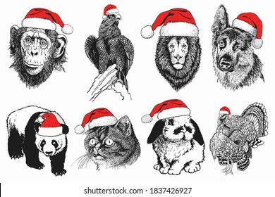 Graphical set of animals in santa claus hats isolated on white background, vector new year illustration