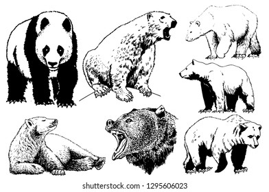 Graphical set of bears isolated on white background,vector tattoo illustration