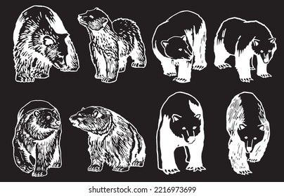 Graphical set of bears isolated on black background,vector engraved illustration. Ink pen illustration