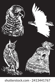 Graphical set of birds isolated on black, vector parrot, eagle and owl