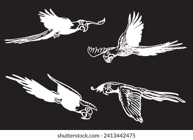 Graphical set of birds isolated on black , vector parrots flying	