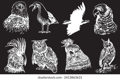 Graphical set of birds on black , vector illustration