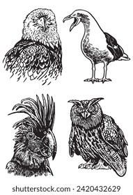 Graphical set of birds on white , vector illustration	