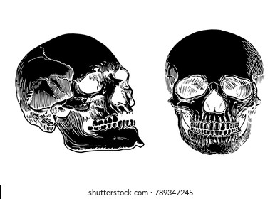 Graphical set of black color human skulls isolated on white background,vector illustration