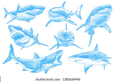 Graphical set of blue sharks  isolated on white background,vector color sharks for tattoo and printing