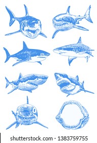 Graphical set of blue sharks  isolated on white background,vector color sharks for tattoo and printing