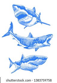 Graphical set of blue sharks  isolated on white background,vector color sharks for tattoo and printing