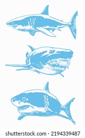 Conjunto gráfico de tiburones azules aislados en elementos blancos de la vida marina.Ilustración de color vectorial. Mariscos