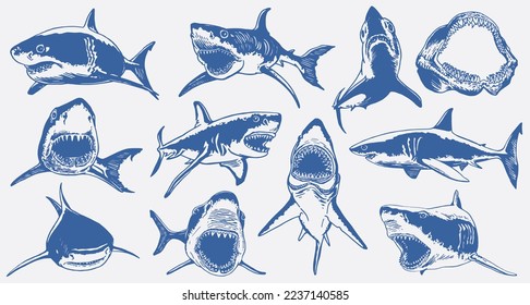 Conjunto gráfico de tiburones azules aislados en fondo blanco, tiburones de color vectorial para tatuajes e impresión
