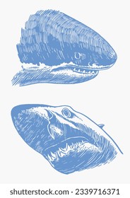 Graphical set of blue sharks  isolated on white background,vector color sharks for tattoo and printing