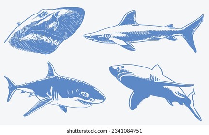 Graphical set of blue sharks  isolated on white background,vector color sharks for tattoo and printing