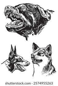 Graphical set of breed dogs on white background,vector illustration