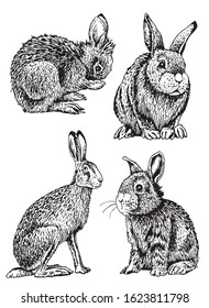 Graphical set of bunnies isolated on white background,vector illustration